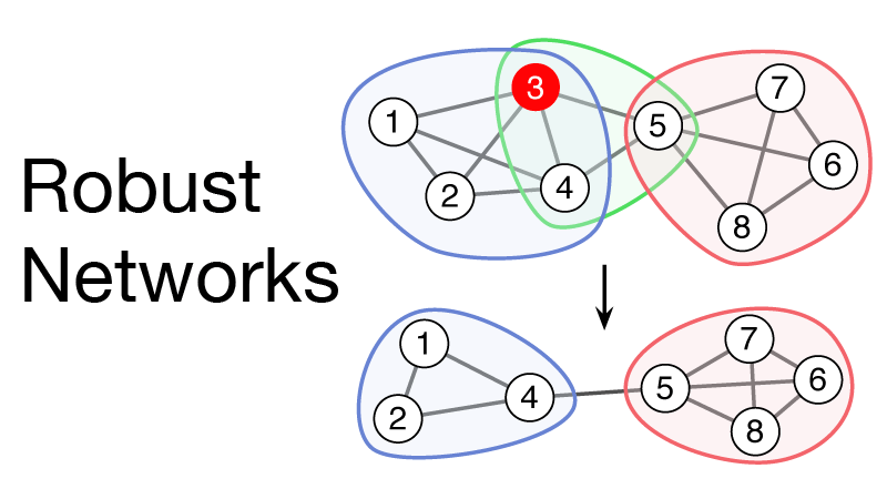 Robust networks